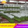 Fornecimento de fábrica de frascos para cultura de tecidos, frascos de vidro para cultura de tecidos, frascos de vidro para cultura de tecidos resistentes a altas temperaturas