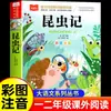 Coleção Completa Pai e Filho Segundo Ano Primeiro Semestre Versão Pinyin Livro de Histórias em Quadrinhos Colorido Fotos Coloridas Originais Leitura para as Séries Um, Dois e Três