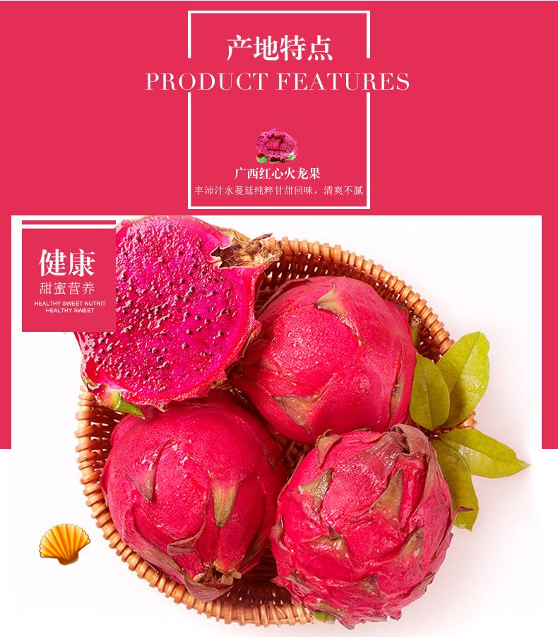 火龙果_03.jpg