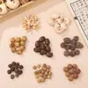 Material de cascabel de cáscara de fruta natural para accesorios de cuentas de llavero DIY hechos a mano, accesorios de pulsera, material de colgante de carillón de viento creativo