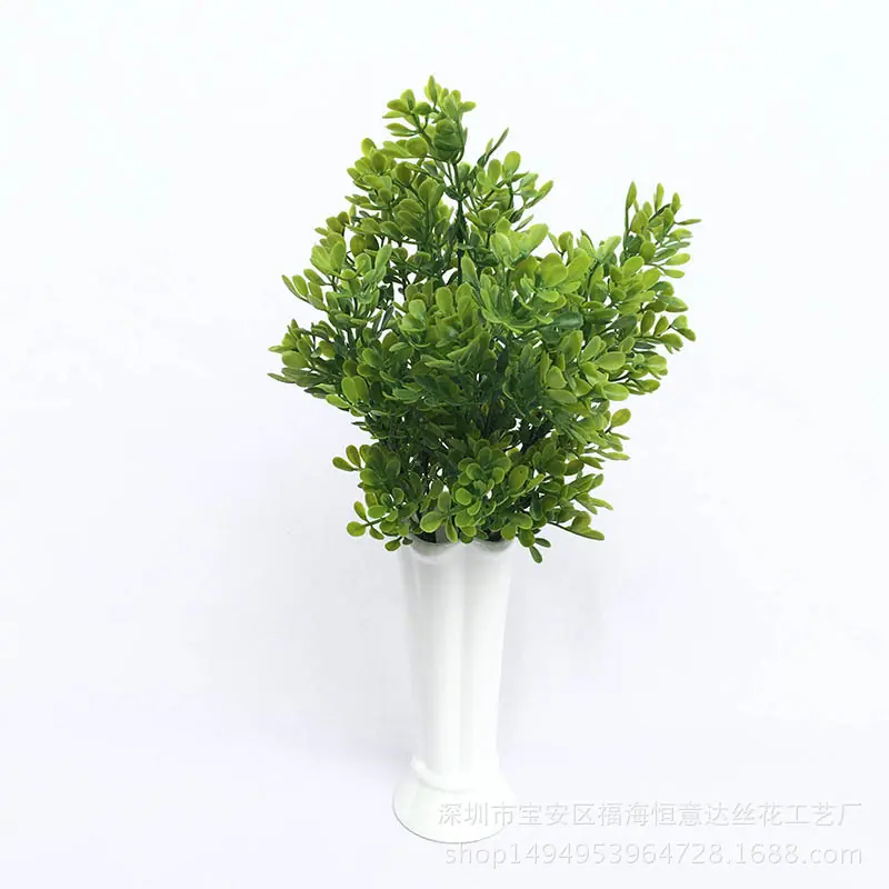 罗汉松