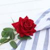 Dusi Suministro Transfronterizo Rosa de Terciopelo Simulado Hogar Hotel Boda Día de San Valentín Decoración de Pared de Rosas Flor de Seda