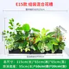 Serie E Maceta Decorativa de Flores Artificiales Verdes Decoración de Caja de Flores Canaleta de Flores para Exteriores Planta Simulada Combinación de Tira Larga Decoración de Valla