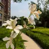 [Orquídea de Fuego] Decoración de Boda, Arreglo Floral de Mesa para Sala de Estar, Pared de Flores, Accesorios para Fotografía, Flores Artificiales al por Mayor