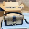 Bolsa de Ombro Dionysus Clássica Taby26 da Marca C, Bolsa de Mão em Couro Bovino com Padrão Lichia, Bolsa Transversal para Mulheres, Tendência Transfronteiriça