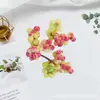 Fruta da Sorte Transfronteiriça Azevinho Frutas Vermelhas Flores de Natal Enfeites de Decoração para Casa Venda Direta Fabricante de Flores Frutas Grandes Flores Artificiais