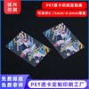 Fabricante de impresión a color de retrato de PVC de Dongguan / Tarjeta pasante PET esmerilada PP Tarjeta pasante estrella