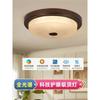 Nueva Lámpara de Techo China Lámpara de Pasillo Americana Puerta de Cristal Pasillo Dormitorio Balcón Exterior Inducción Exterior Lámpara de Jardín