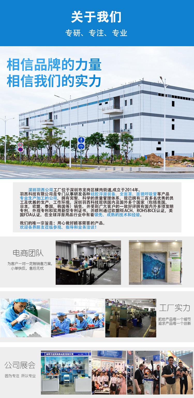公司介绍详情