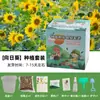 Plantas en Maceta Hechas a Mano para Niños Estudiantes de Primaria para Observar el Crecimiento de las Plantas Cultivo y Germinación DIY Mini Plantas Verdes en Maceta