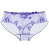 Yan Beiwei entrega de una pieza talla grande ropa interior sexy estilo puro bordado francés máquina cuidadosa ropa interior de tiro bajo para mujer 836