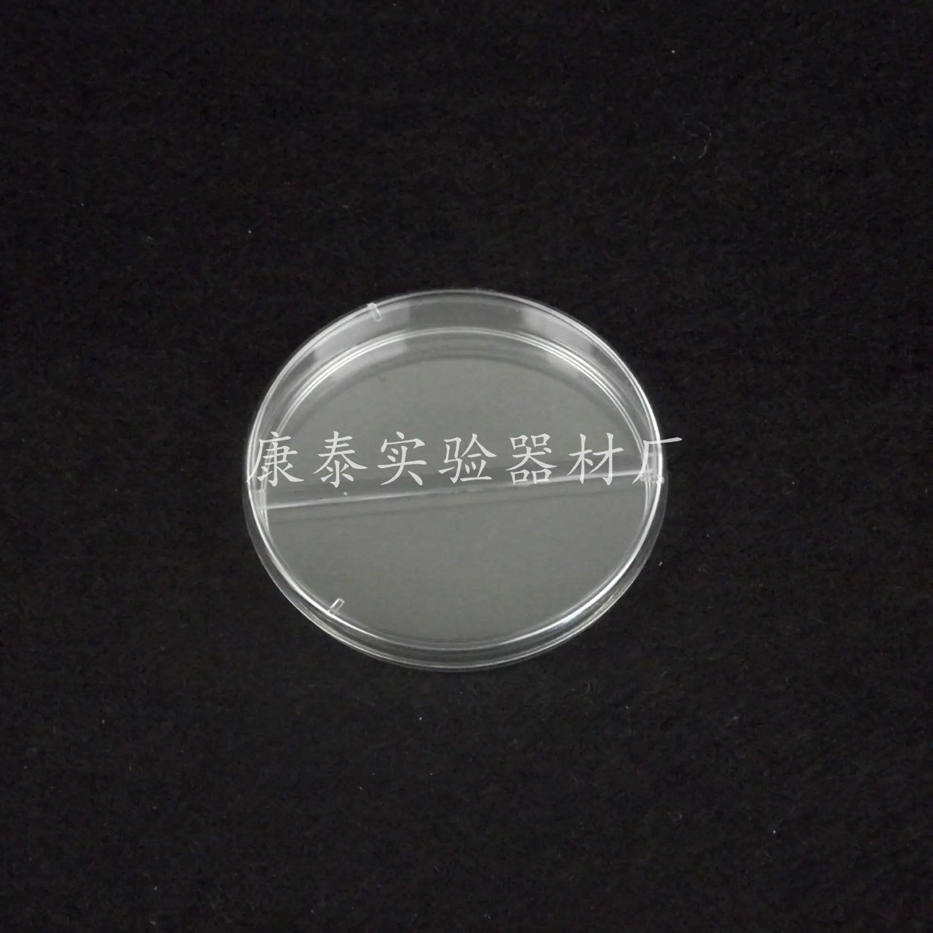 DSCF2977_2345看图王