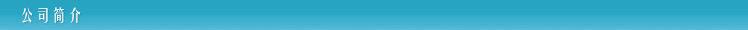 公司简介深