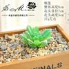 004 Cabeza de Flor de Planta Suculenta Verde Afelpada Suministros Creativos para Bricolaje Accesorios para Colgar en la Pared Decoración de Flores para el Hogar Planta Verde Shangyi