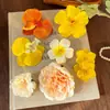 Pinza para el pelo de Flor de Plumeria Estilo Dulce Festivo para Mujer, Elegante Pinza para Flequillo Lateral para Fotos y Check-Ins, Accesorio para el Cabello de Playa