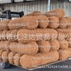 Ilha Flutuante Ecológica Higrófita Vara Rolo de Coco Vara de Palmeira de Coco Fibra de Coco Vara de Planta Rolo de Planta Aquática Ilha Flutuante Porosa
