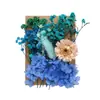 [Paquete de Materiales A5 en Relieve] Flores Secas Flor Eterna Marco de Fotos Paquete de Materiales en Relieve Material Floral DIY Vela de Aromaterapia Flores Secas