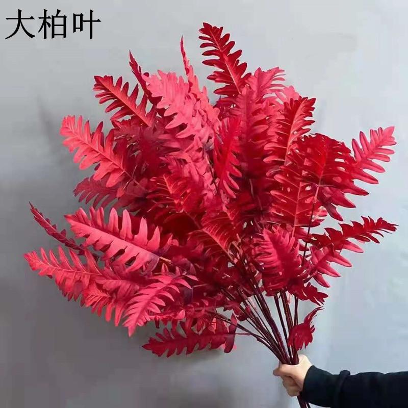 大柏叶红色1