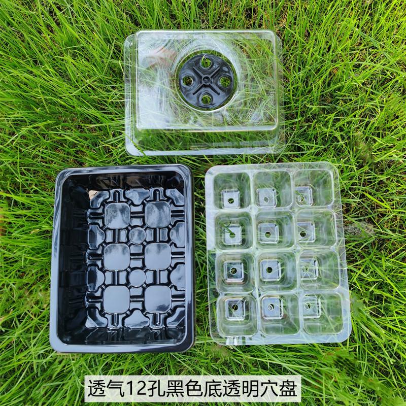 透气 12孔黑色底透明穴盘