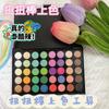 Paleta de Sombras de Ojos de 40 Colores, Combinación Multicolor Perlada Mate, Paleta de Maquillaje Diario, Textura de Polvo Fino, Precio Asequible, Fácil de Aplicar