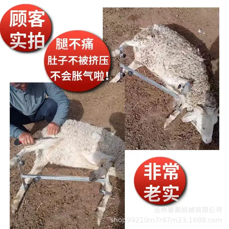 微信图片_20240426200522.jpg