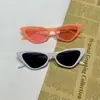 2026 Nuevas Gafas de Sol Moda Retro Ojo de Gato para Mujer Gafas de Sol con Protección UV Montura Triangular Moderna para Hombre