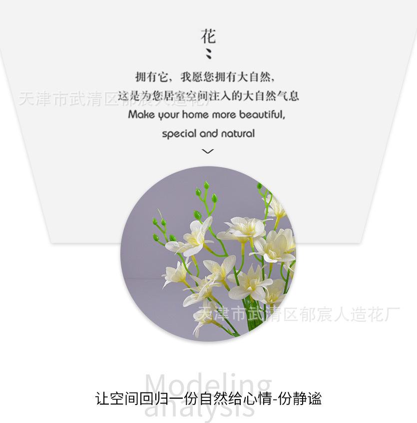 详情_05.jpg