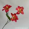 Hemerocallis Lírio Estilo Nacional Novo Lírio Sintético Decoração de Casamento Móveis para Casa Hotel Decoração Suave Flores em Estoque