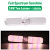 Luz Suplementaria de Espectro Completo para Suculentas, Luz LED para Crecimiento de Plantas que Mejora el Color, Plegable para Frutas, Verduras y Plántulas de Flores, Portátil