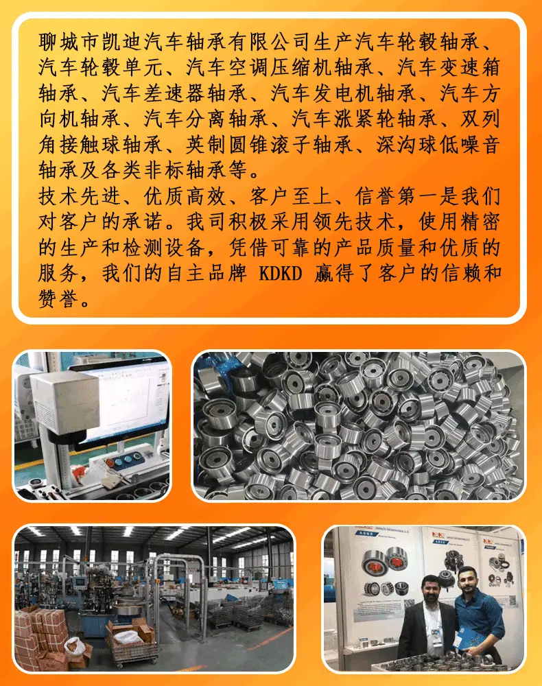 公司信息