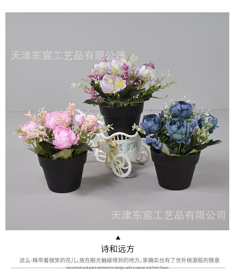 详情_11.jpg