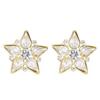 Brincos de estrela de cinco pontas super flash transfronteiriços novos brincos de estrela de diamante de luxo francês brincos brincos europeus e americanos atacado