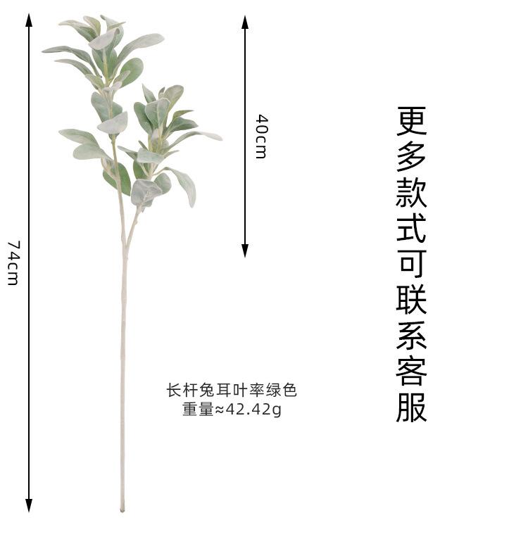 兔儿叶详情页_06.jpg