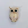 Broche Pequeño de Aleación con Pedrería Transfronterizo, Accesorio para Ramillete, Pin de Moda Versátil, en Stock del Fabricante