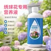 Solução nutritiva para hortênsias para prevenir podridão das raízes, murcha, queimadura das folhas, promover o enverdecimento e incentivar a floração