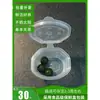 Botella de Ecosistema de Paisaje Micro Marimo Bola de Musgo, Divertida en Interiores