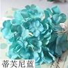 Flor de verano tela de lana gruesa simulación cabeza de flor de hortensia individual 30 pétalos adecuado para pared de flores de boda camino arco arreglo floral