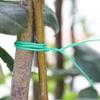 100m Ataduras de Alambre para Jardín y Horticultura para Exportación a Europa, América, Japón, Corea del Sur, Oriente Medio, Etc.. Fábrica Fuente Certificada BSCI Bonsái