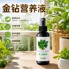 Solução Nutricional Especial Diamante Dourado Fórmula Concentrada Previne Amarelamento das Folhas e Promove o Crescimento, Fertilizante Universal para Plantas de Vaso em Casa