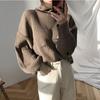Jaqueta Suéter de Gola Alta Outono e Inverno Moda Coreana Solta Versátil Roupa Externa Chique Celebridade da Internet Estilo Preguiçoso Blusa de Manga Longa