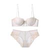 Ropa Interior de Encaje Bordado Francés para Mujer, Delgada, Transparente, Sujetador Push-up Pequeño, Parte Superior de Media Copa, Color de Contraste, Conjunto de Sujetador Sexy