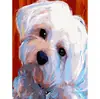 Direto da Fábrica DIY pintura a óleo digital pintura de personagem animal pintura paisagem animal preenchimento de cor pintura decorativa suprimento de comércio exterior