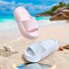 Pantuflas de Tacón Alto para Mujer, Estilo Sencillo, Color Sólido, Antideslizantes, Versátiles para la Playa y el Hogar, Modernas y de Alta Gama