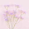 Pegamento suave al tacto, imitación de gypsophila, decoración de alta gama para bodas, salas de estar, flores artificiales de mano, venta al por mayor