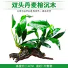 Musgo Paisajismo Acuario Madera Hundida Agua Banyan Planta Viva Sin Suelo Perezoso Hierba Acuática Real Banyan Hoja Grande Madera Hundida Pastizal Cabello Lacio