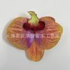 Cabeça de Flor de Orquídea Borboleta Artificial Super Feérica, Nova Presilha de Cabelo de 9cm Acessórios de Praia Atacado