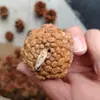 Decoración para Árbol de Navidad Adornos Colgantes con Ganchos Perforados, Piñas con Clavos, Adornos para Árbol de Navidad, Piñas, Flores Secas, Manualidades DIY