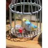 Mini Jaula de Pájaros de Hierro Hueca Adorno para Jardín Plantas Decoración DIY Accesorio de Simulación