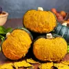 Calabaza Beibei No.1 de Shandong, entrega 3/ 2.5kg Rosa y glutinoso sabor castaña comida para bebés, verduras frescas