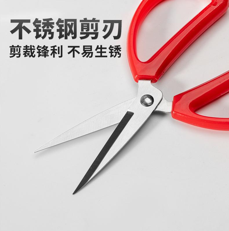 详情页_04.jpg